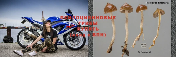 винт Куйбышев
