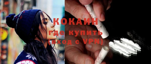 соль ск Кукмор