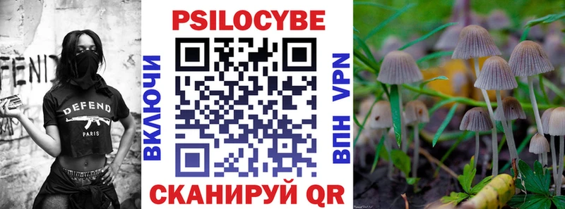 Псилоцибиновые грибы Psilocybine cubensis  Неман 